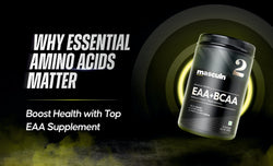 Why Essential Amino Acids Matter Boost Health with Top EAA Supplement